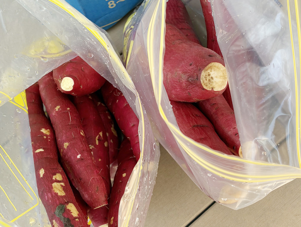 紅はるかと鳴門金時