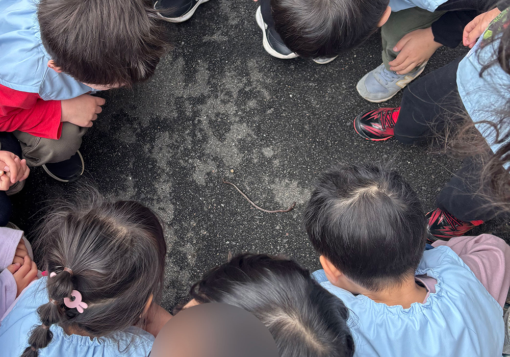 みみずを囲む園児